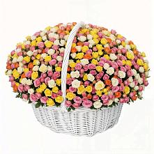 Премиум букет из: Розы в Дичне