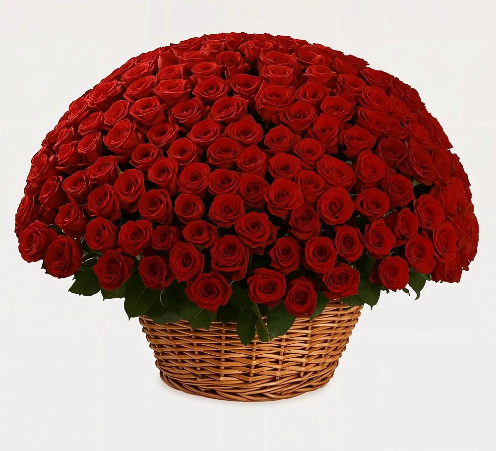 Премиум букет из: Розы в Дичне