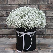 Цветочная композиция из Гипсофила в шляпной коробке #REPLACE_PRED# Дичне