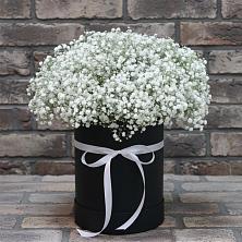 Цветочная композиция из Гипсофила в шляпной коробке в Дичне